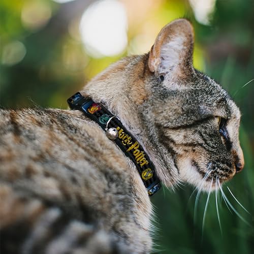 Coleccionables, Toy Imagen adicional