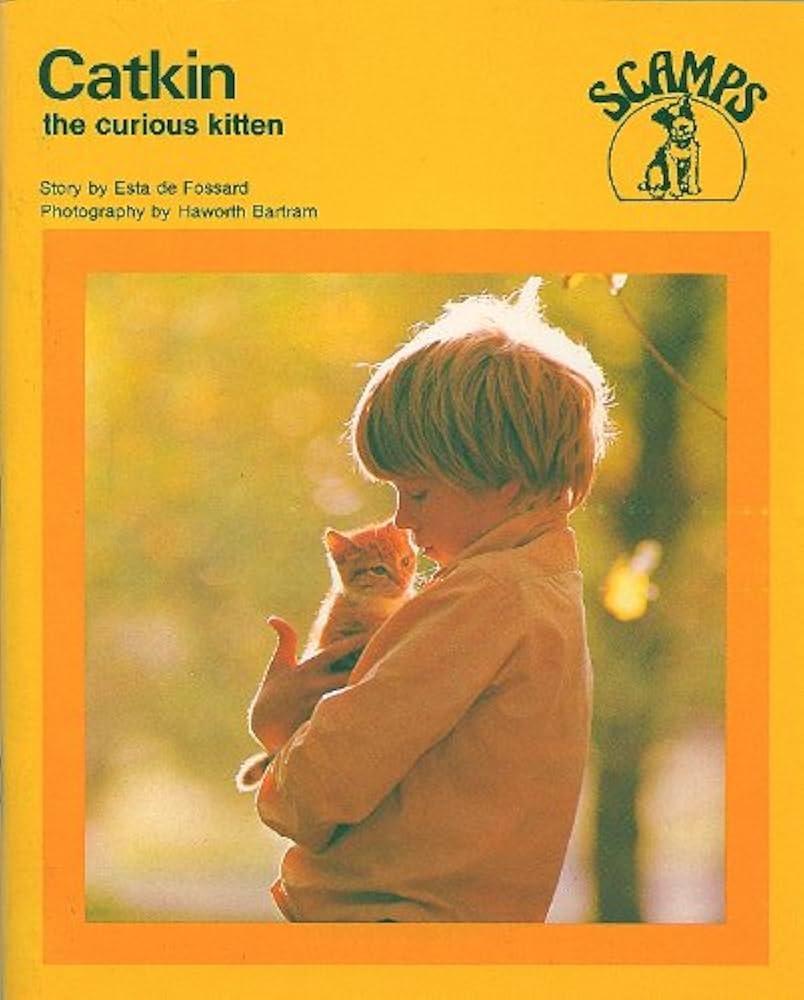 Livre Jeunesse : Sebastian, The Tale Of A Curious Kitten – Vanessa Julian-Ottie
