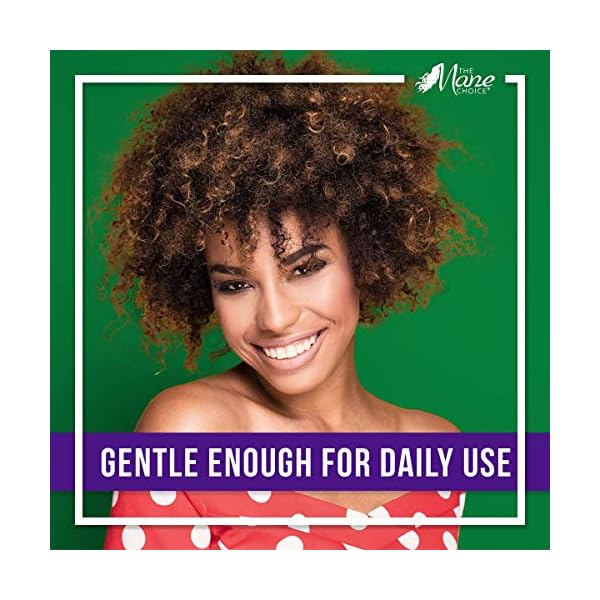 THE-MANE-CHOICE-Hair-Type-4-Leaf-Clover-Manageability-Softening-Remedy-Moisturizing-Styling-Cream-12-oz THE MANE CHOICE - Hair Type 4 Leaf Clover: Manageability & Softening Remedy Moisturizing Styling Cream (12 oz)