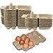 FZQBEY Caja de almacenamiento para huevos de pulpa de huevo, 30 unidades, 2/6/12 hueveras de cartón con tapa, soporte para huevos, bandeja para el hogar, cocina, huevos de Pascua (6 huevos)
