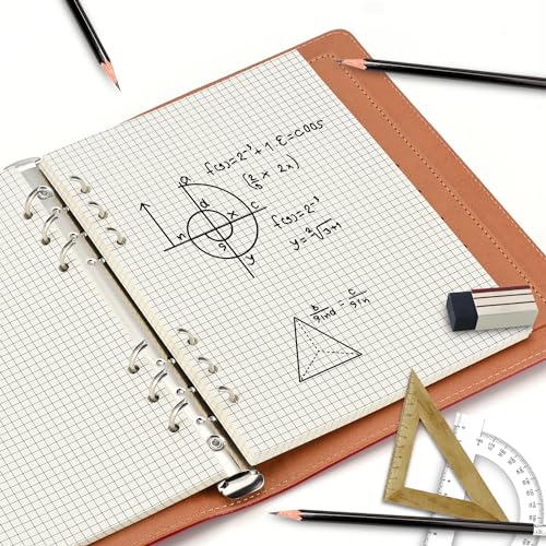 Lidwot A5-Nachfüllpapier, kariert, 100 g/m², dick, beige, keine Blätter (80 Stück), vorgelocht, passend für A5-Ringbücher mit 6 Ringen, für Büro, Schule und Lehrer