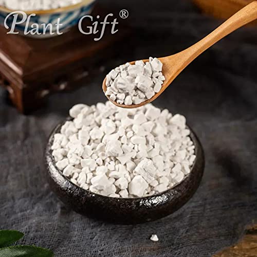 Plant Gift 100% Sweet Potato Powder 100G/3.25oz 红薯粉, Non-GMO, kein Füllstoff, keine Zusatzstoffe, natürliche Süßkartoffel-Mehl, bester Geschmack zum Backen, verleiht Geschmack und Aroma.