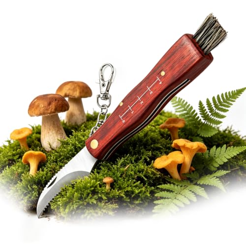 Couteau à champignons et truffes - Couteau pliant de 21 cm avec brosse à champignons, idéal pour cueilleurs