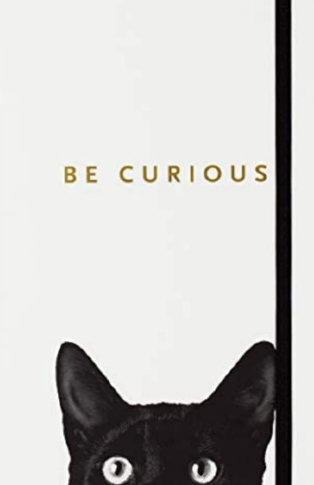 Curious cat notebook journal: Perfect gift for animal lovers lined Notebook with 160 pages-5*7dimension
