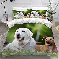 Housse De Couette Corgi 240x260 Cm + 2 Taies 65x65 - Microfibre Brossée Douce, Fermeture Éclair, Attaches D'Angle - Déco Chambre Animaux