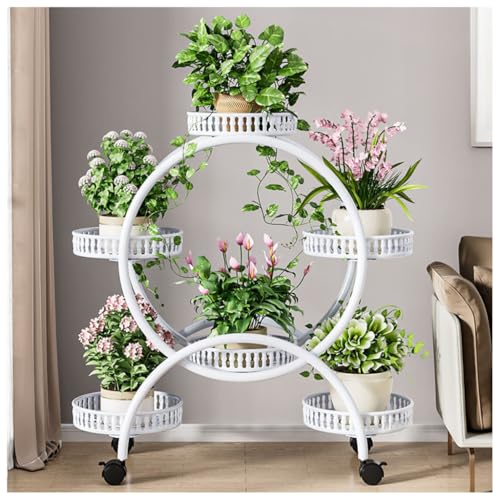 loyfreeyo t[X^h  ԑ O ϗtA u LX^[t AI X^h |bN Aؔ K[fbN ~͒I K[fjOI v ֒u gݗĂȒP (6,zCg)