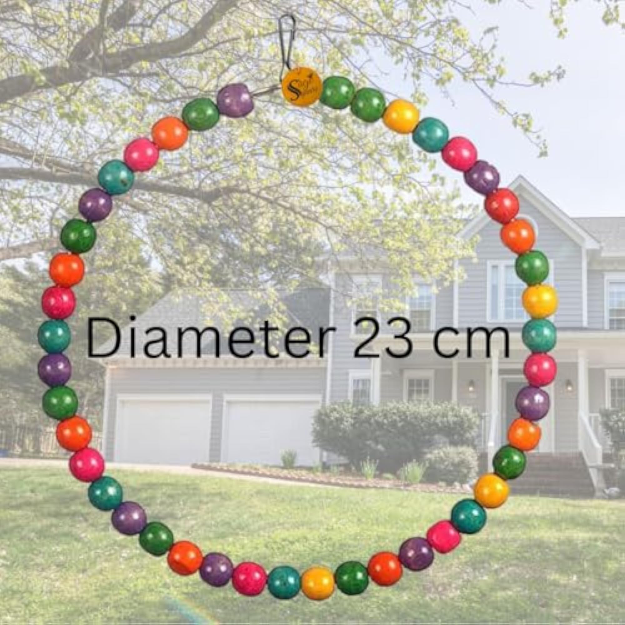 Vibrant Circle Hanging Cage Toy for Birds, Colorful Interaction