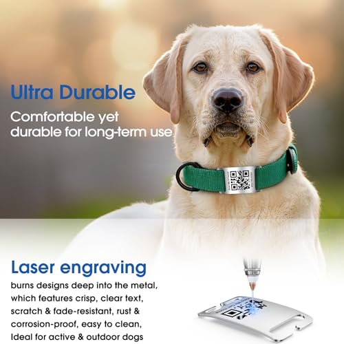 TechMark QR Code Dog Cat Pet Tags Laser Engraved Stainless Steel Ultra Durable- Real-Time Scan Alerts, No Subscription Fees, Polished Curved Rectangular Arch, Large for 1\" Collars - Thumbnail 5