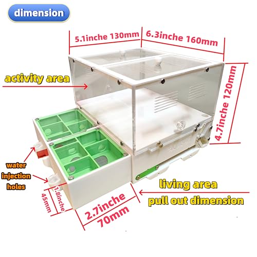 Fazenda de formigas, ninho de formigas e casa, fazenda de insetos estilo gaveta, viveiro de insetos,
