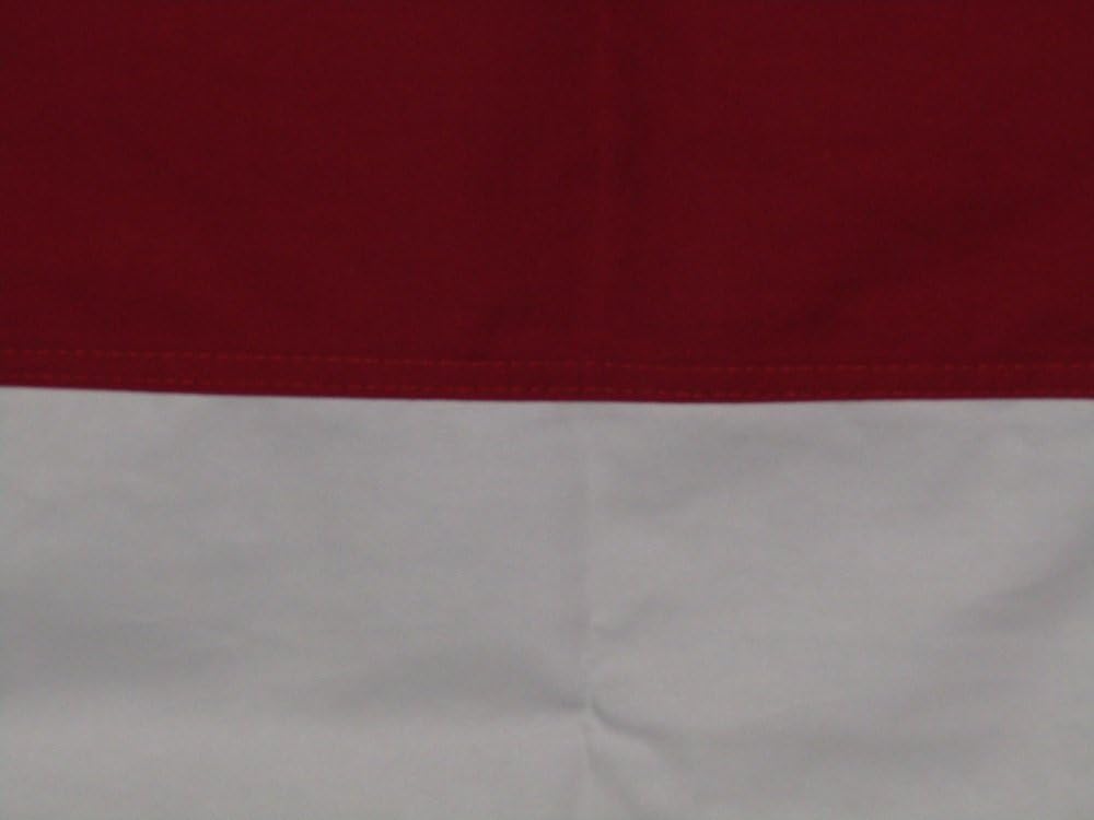 AES 3x5 Embroidered State of North Carolina NC 100% Cotton Flag 3'x5' 3 Clips House Banner Brass Grommets Fade Resistant Double Stitched Premium Quality