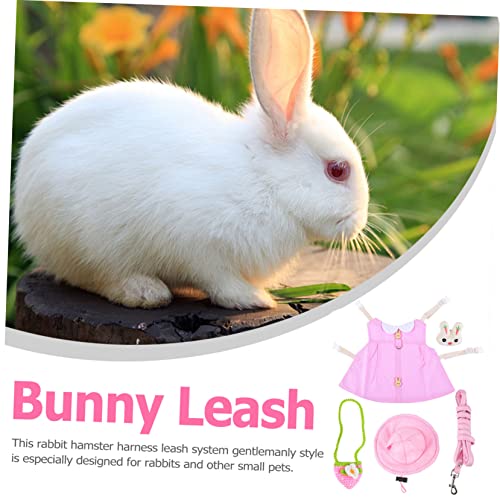 Buying Guide FOMIYES 2pcs 10 Pet Leash Outdoor Accessories Medium and