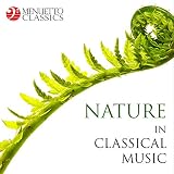 Violin Concerto in F Minor, RV 297, 'Winter' from 'The Four Seasons': I. Allegro non molto