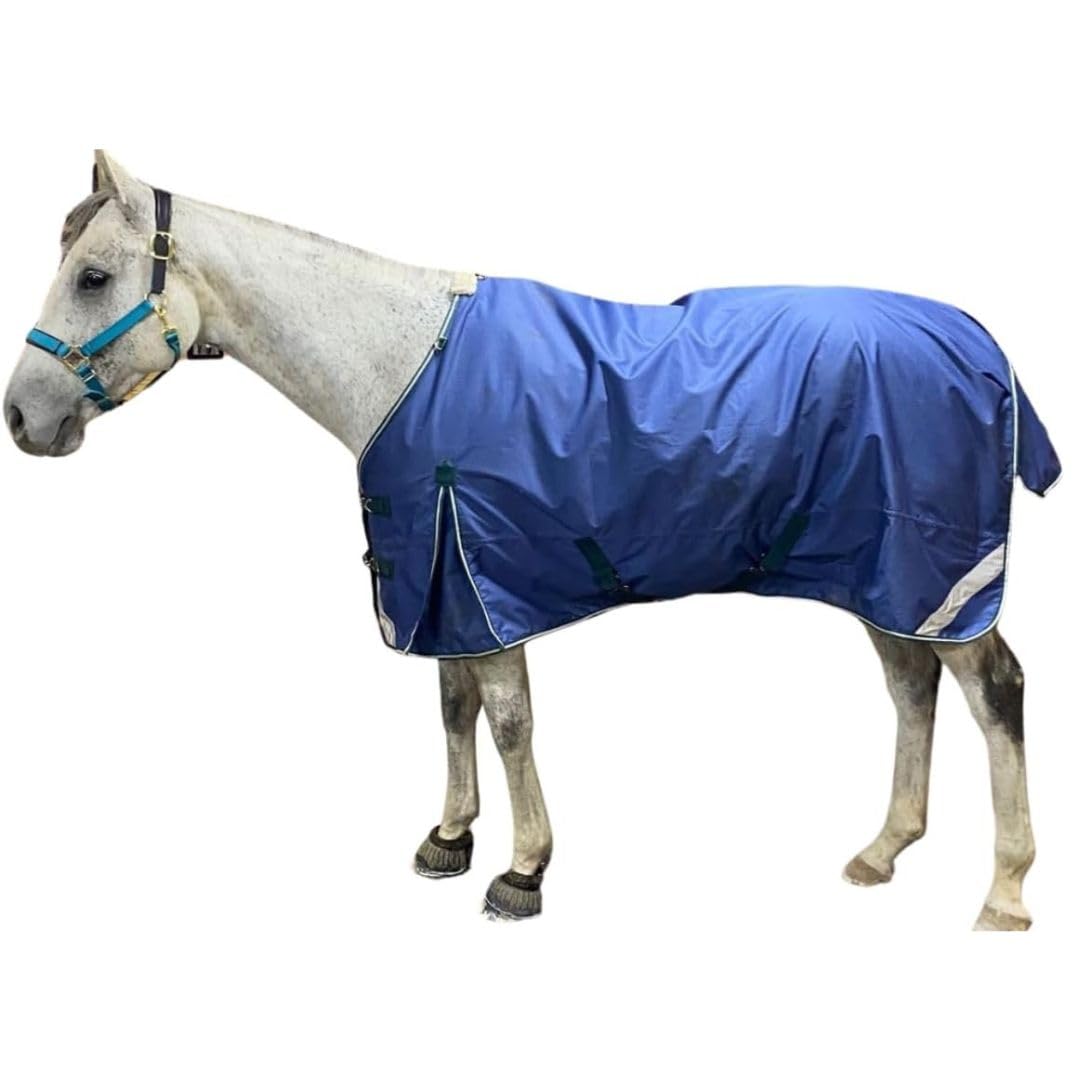 Amazon.com : Pro-Trainer Turnout Blanket with Detachable Neck
