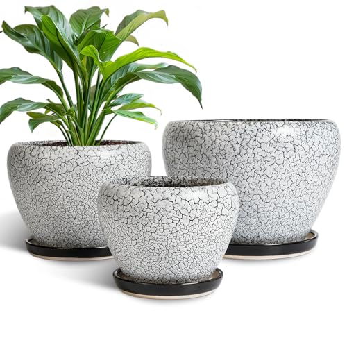 EPFamily Ceramic Plant Pots, 10+8+6 Inch Flower Pot Indoor, White-Black