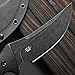 Sitivien ST31 Fixed Blade Knife N690 Black Stonewashed Steel Blade Carbon Fiber Handle Full Tang EDC Straight Knife for Outdoor Working Camping Hunting Fishing(Black)