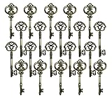 Salome Idea 20PCS Assorted Large Vintage Skeleton Keys (2 Styles) - 3 1/4