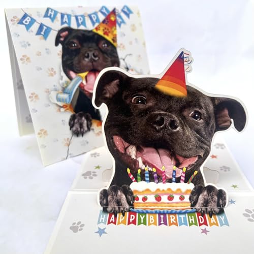 Staffordshire Bull Terrier 3D Pop Up Birthday Card