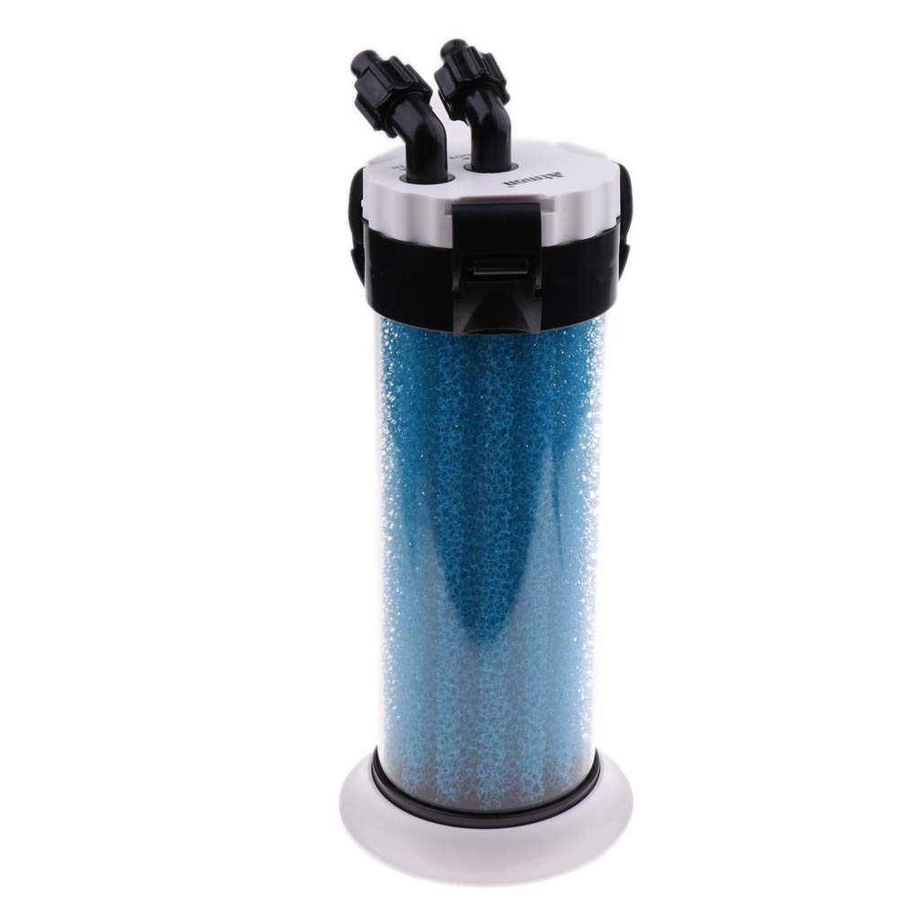 Préfiltre d'aquarium - Éponge externe - Outil de nettoyage pour terrarium et aquarium
