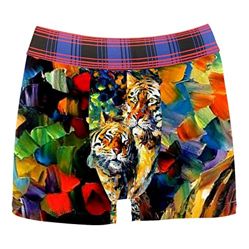 Boxer personnalisé pour homme avec motif de lion avec peinture à l'huile colorée, multicolore, Medium-Large