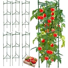 6 Pack Tomato Cage,Tomato Cage for Raised Garden Bed, 48 Tall Tomato TrellisTriangle or Square Cages for Garden,Pots, Plant Cages & SupportsGreen, Extra Bold