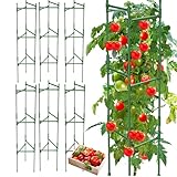 Picture of MQHUAYU 6 Pack Tomato Cage,Tomato Cage for Raised Garden Bed, 48'' Tall Tomato TrellisTriangle or Square Cages for Garden,Pots, Plant Cages & Supports（Green, Extra Bold ）