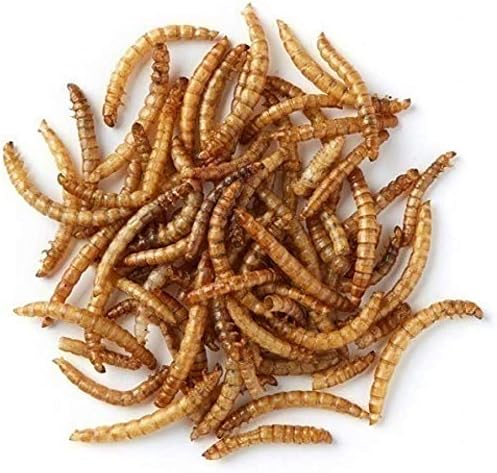 Superpet Dried Mealworms For Birds (1Kg)