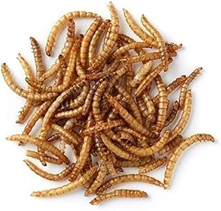 Superpet Dried Mealworms For Birds (5Kg)