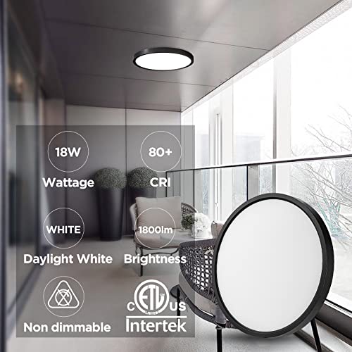 Taloya Led Flush Mount Ceiling Light Fixture, 18W (180W Incandescent Equiv.),8.9 Inch,Low Profile,Slim Black Ceiling Lamp For Closets,Stairwells, Day Light,Etl Listed,Non-Dimmable #TOP1