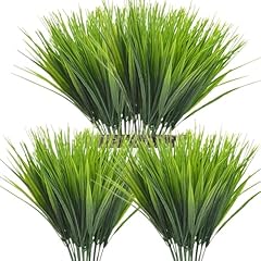 Wheat Grass-12 Pcs