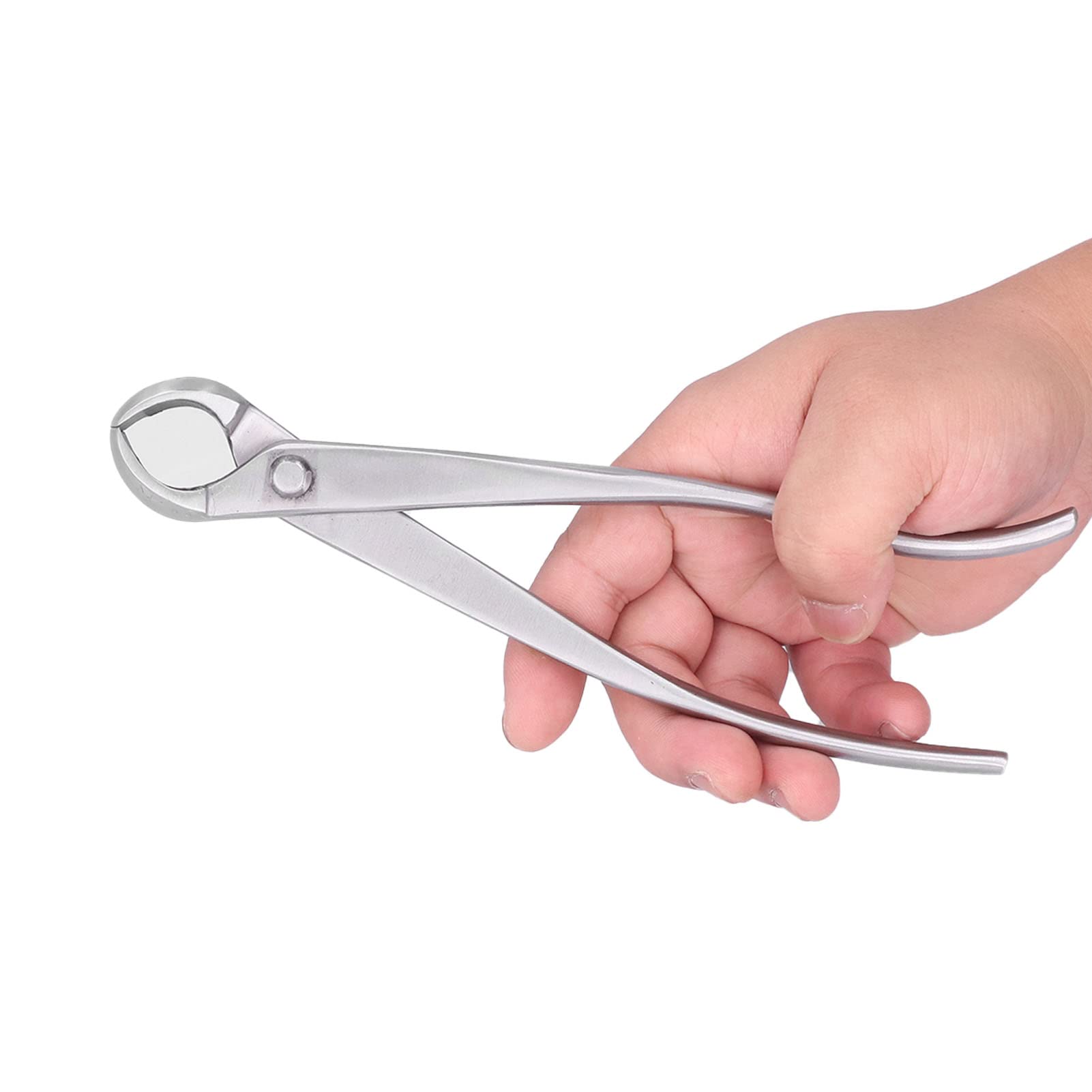 Juego de Herramientas para Bonsái, Kit de Herramientas de Jardinería Ergonómico de Acero Inoxidable de 4 Piezas para Amantes de los Bonsái