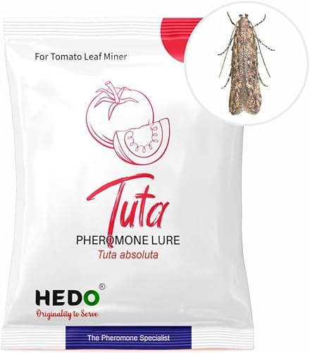 Miniatura 4 de HEDO Señuelo de feromonas para minero de hojas de tomate (Tuta absoluta Feromone Lure) Paquete de 20 unidades para controlar el daño en el tomate