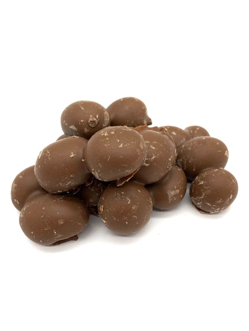Milk Chocolate Double Dipped Peanuts, Bulk Size (1 lb. Resealable Zip Lock Stand Up Bag)