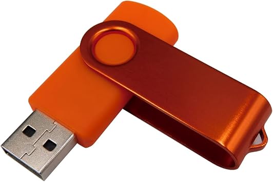 1GB USB Flash Drives Memory Sticks Thumb Drive with OTG & USB C/Type C Adaptor (Orange)