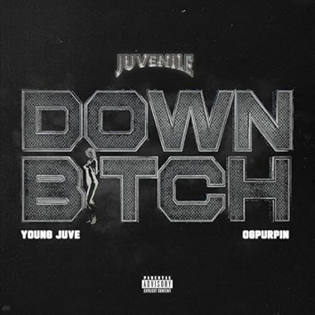 Down Bitch [Explicit]