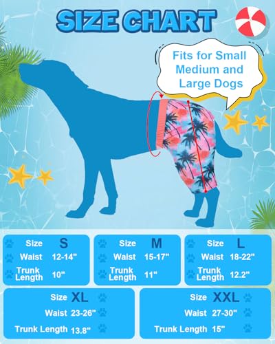 Image of CuteBone Dog Swim Trunks Swimsuit Durable & Comfortable - Quick-Dry, Adjustable Waistband Shorts, UV Protection Bikini- Perfect for Beach, Pool & Outdoor Fun, Dinos DST10S