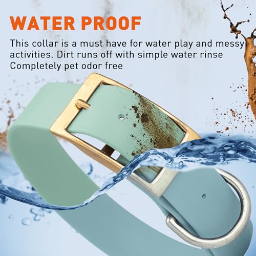Image of Viper Biothane Heavy Duty Waterproof Dog Collar Strong Coated Nylon Webbing w /Solid Brass Hardware Odor-Proof Easy to Clean High Performance Fits Small Medium or Large Dogs, Sage Green
