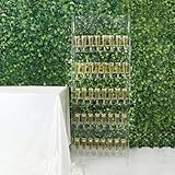 Efavormart 5-Tier Clear Acrylic Champagne Wall Glass Holder – 5ft Stemware Rack Holds 40 Flutes – Elegant Drink Display & Organizer for Weddings, Cocktail Parties, Bars, Events & Celebrations