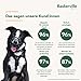 Baskerville ULTRA Maulkorb - Patentierter Maulkorb für Hunde, Hunde können hecheln, fressen und trinken, Verhindert das Beißen und Stöbern nach Wildtieren, Ideal für kleine Hunderassen (Größe 2)