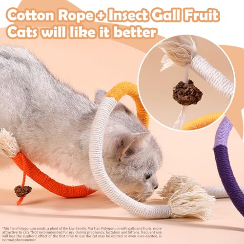 kaiyaya 3 Stück Katzenminze Beißseil Spielzeug,Cat Toyskatzenbeißseil Kauspielzeug Cat Toys Katze Mit Katzenspielzeug Interaktives Ür für Katzen Zahnpflege und Gegen Mundgeruch(Rot,Lila,Orange)