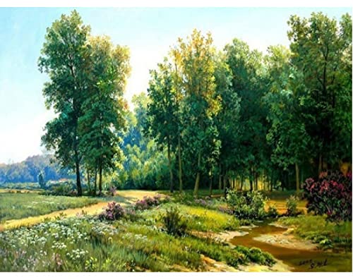 Cadeau amusant peinture au diamant 5D paysage kit d'art pour anniversaire