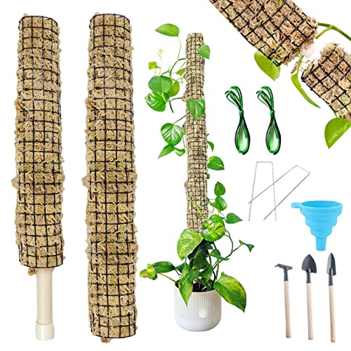 Monstera - Bastone impilabile per muschio autoirrigante per arrampicata - Bastone di muschio di sfagno per orchidee Monstera fiori piante in vaso pali e supporti Abonda
