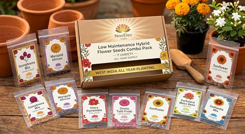 Image of Low Maintenance Hybrid Flower Seeds Combo Pack- All Year Flower Seeds Supply (7 VARIETY WEST INDIA ALL YEAR)