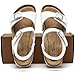 Torotto Kids Girls Boys Sandals with Cork Footbed Adjustable Strap Toddler Casual Slides Sandals Open Toes Flat (878/White,37)