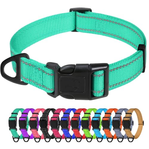 TagME Collare per Cani in Nylon Riflettente, Fibbia Staccabile Durevole, Collari Di Sicurezza Regolabili per Cani Di Taglia Media, Teal, Larghezza 2.5 cm