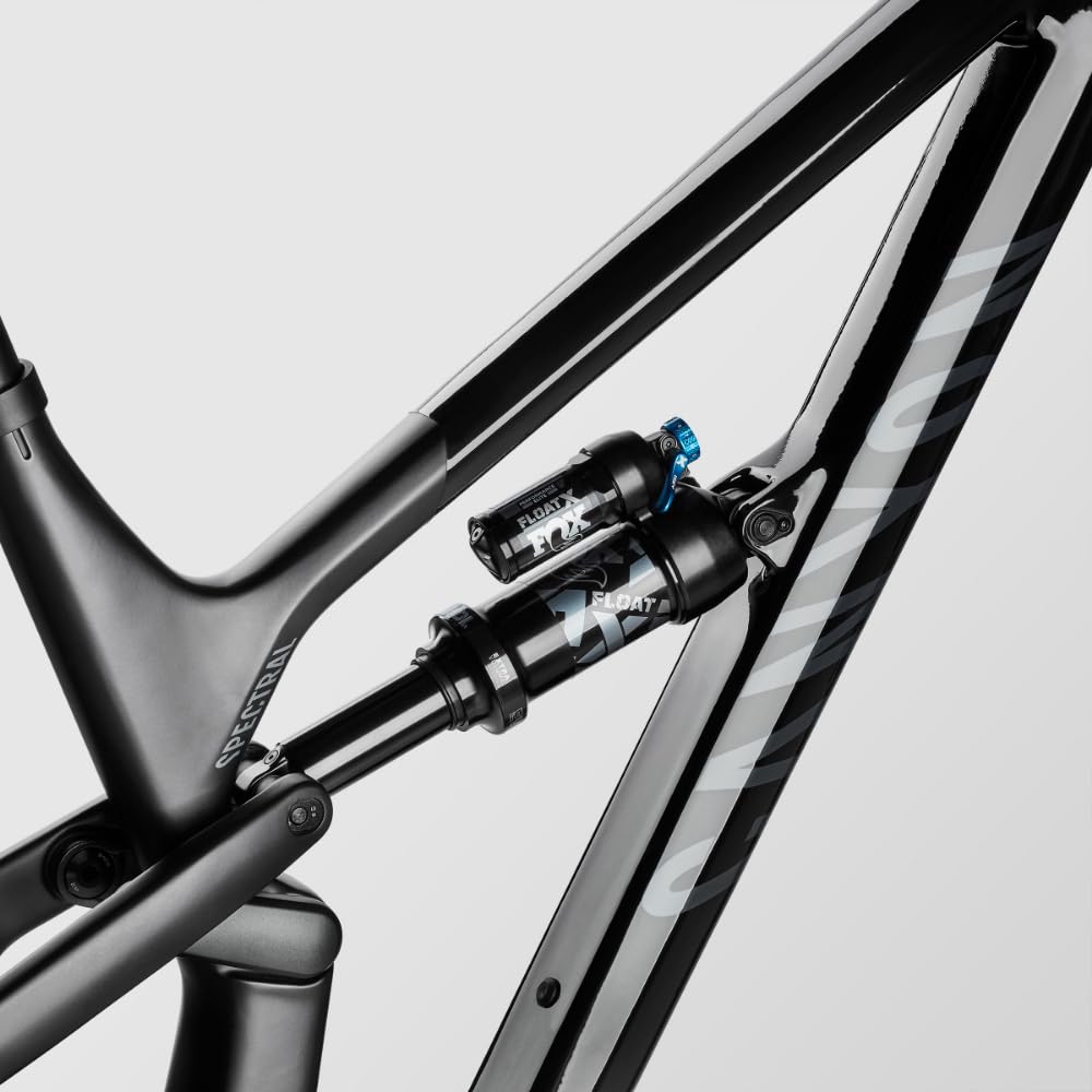 Canyon Spectral 29 CF 8, Exhaust Black, Small