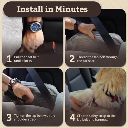 Image of Snoozer Lookout I Car Seat - Dog Car Seats for Small Dogs, Puppy Booster Bed for Small Sized Pets up to 18 Lbs, Elevated, Washable - Size S, Black Quilted