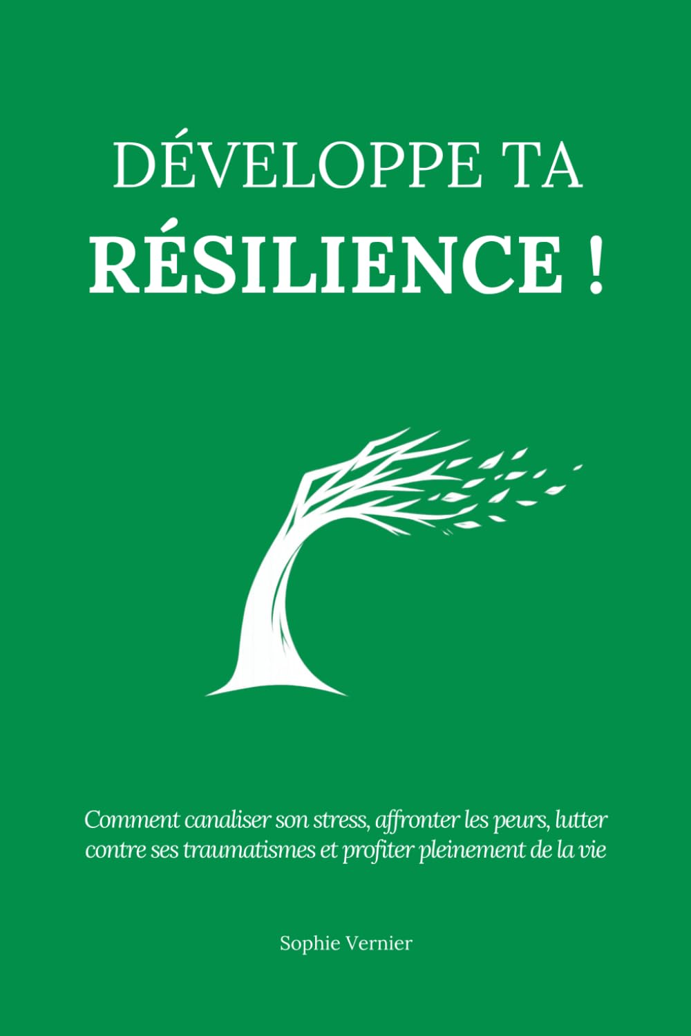 Développe ta résilience !: Comment canaliser son stress, affronter les peurs, lutter contre ses traumatismes et profiter pleinement de la vie