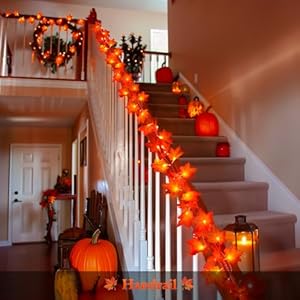 JMEXSUSS 2 Pack Thanksgiving Lights Indoor with Leaf, Total 22 FT 40 LED Fall Thanksgiving Lights Battery Operated, Thanksgiving Decorations for Window Garland Bedroom Fireplace Mantle Door Kitchen JMEXSUSS 2 Pack Thanksgiving Lights Indoor with Leaf Total 22 FT 40 LED Fall Thanksgiving Lights Battery Operated Thanksgiving Decorations for Window Garland Bedroom Fireplace Mantle Door Kitchen