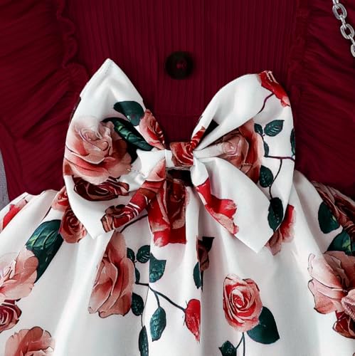 Image of Buy & Try Berry Lycra Girls Printed Frock, Full Sleeve, Soft Stretchable Fabric, Comfortable Party & Casual Wear Dress for Kids