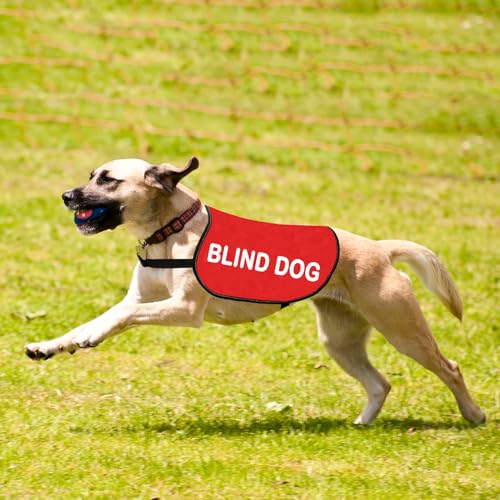 Special Needs Gift Blind Dog Jacket Vest Pet Alerts Blind Dogs Walking Slogan Warning Vest (Bl-ind d-og M) - Image 4